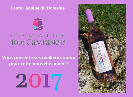 MEILLEURS VOEUX 2017 - HAPPY NEW YEAR 2017